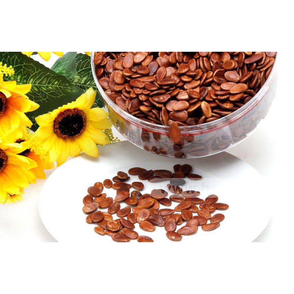 Hạt dưa loại đặc biệt 500gr