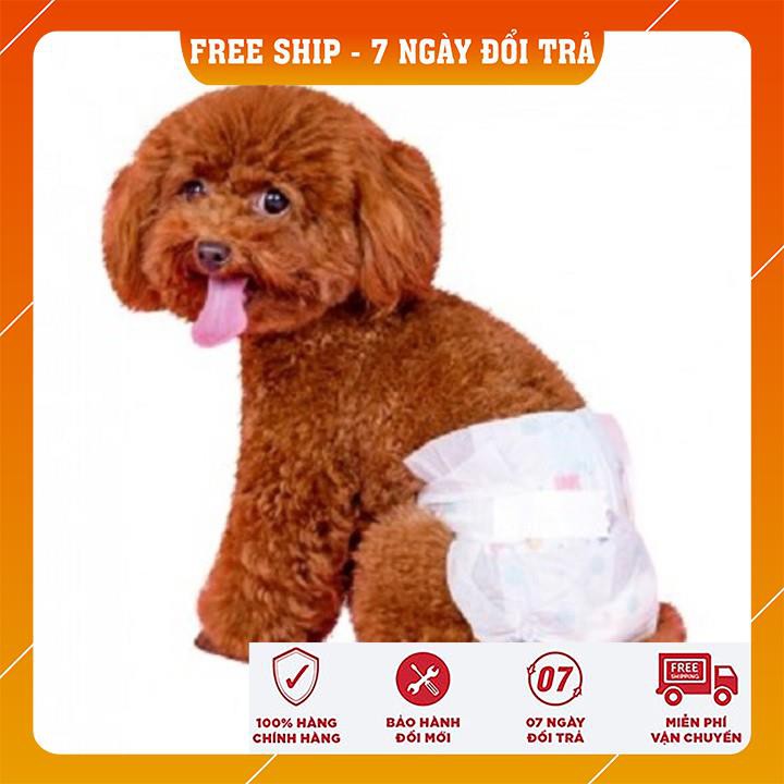 TÃ CHO THÚ CƯNG CÁI 😍𝗙𝗿𝗲𝗲𝗦𝗵𝗶𝗽😍 DONO CAO CẤP ĐẦY ĐỦ SIZE 0.5 - 15KG SIÊU THẤM HÚT VỚI LƯỢNG NƯỚC LÊN ĐẾN 250ML