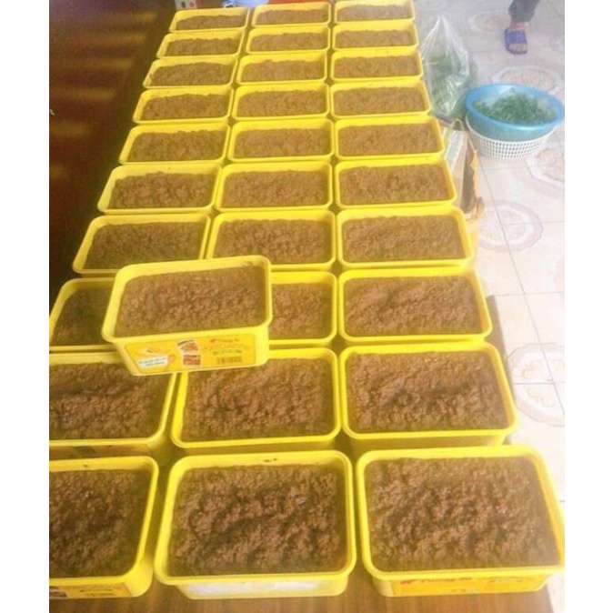 Pate nhà làm hộp 300g 500g