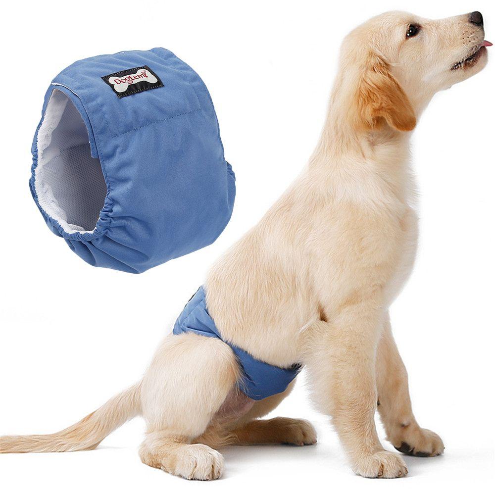 Layor1 Quần Sinh Lý Co Giãn Thiết Kế Dành Cho Cún Cưng