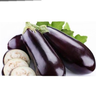 Hạt giống cà tím F1