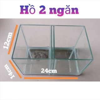 Hồ nuôi cá 2 ngăn