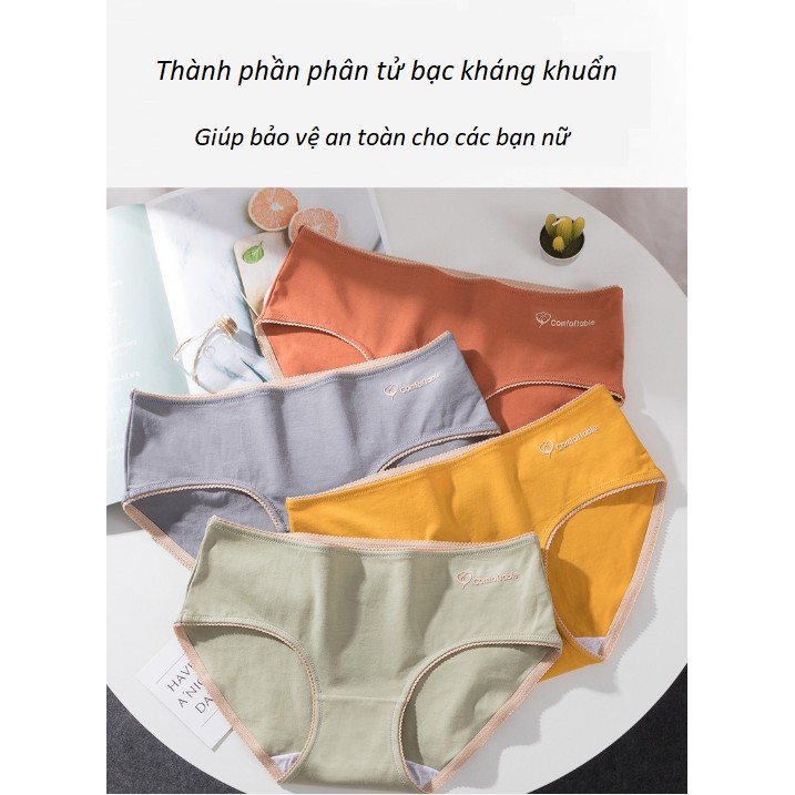 [Mã 12FASHIONSALE1 giảm 10K đơn 50K] Quần Lót Cotton Thông Khí Kháng Khuẩn Viền Ren Comfortable P284 | BigBuy360 - bigbuy360.vn