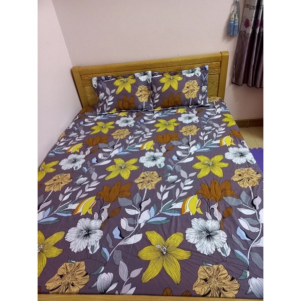 Bộ ga chun Hàn Quốc kèm 2 vỏ gối nằm cao cấp | BigBuy360 - bigbuy360.vn