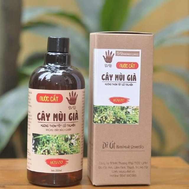 Nước cất cây mùi già