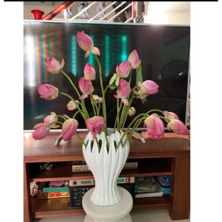 Lọ bàn tay Phật, lọ hoa decor trang trí bàn làm việc nhà cửa gốm sứ Bát Tràng cực xinh yêu