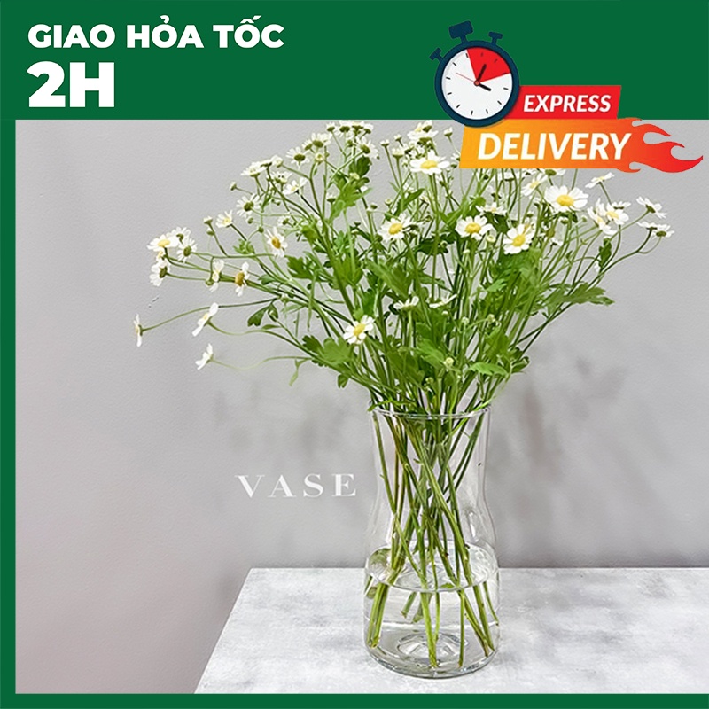 Bình Hoa Thủy Tinh Trong - Để Bàn - Cắm Hoa