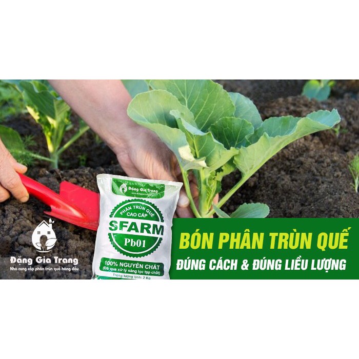 Phân hữu cơ Trùn quế cao cấp Sfarm bao 10kg