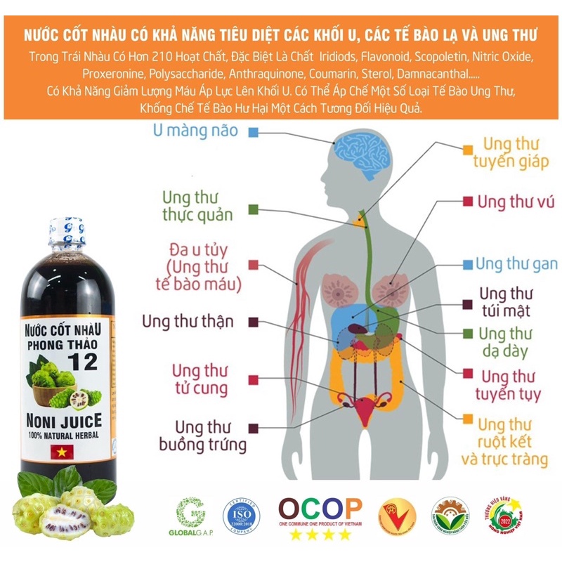 Nước Cốt Nhàu Phong Thảo Noni Juice 1000ml