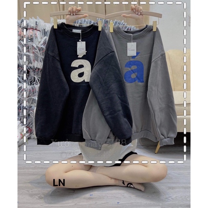 Áo nỉ bo cotton Á LN12