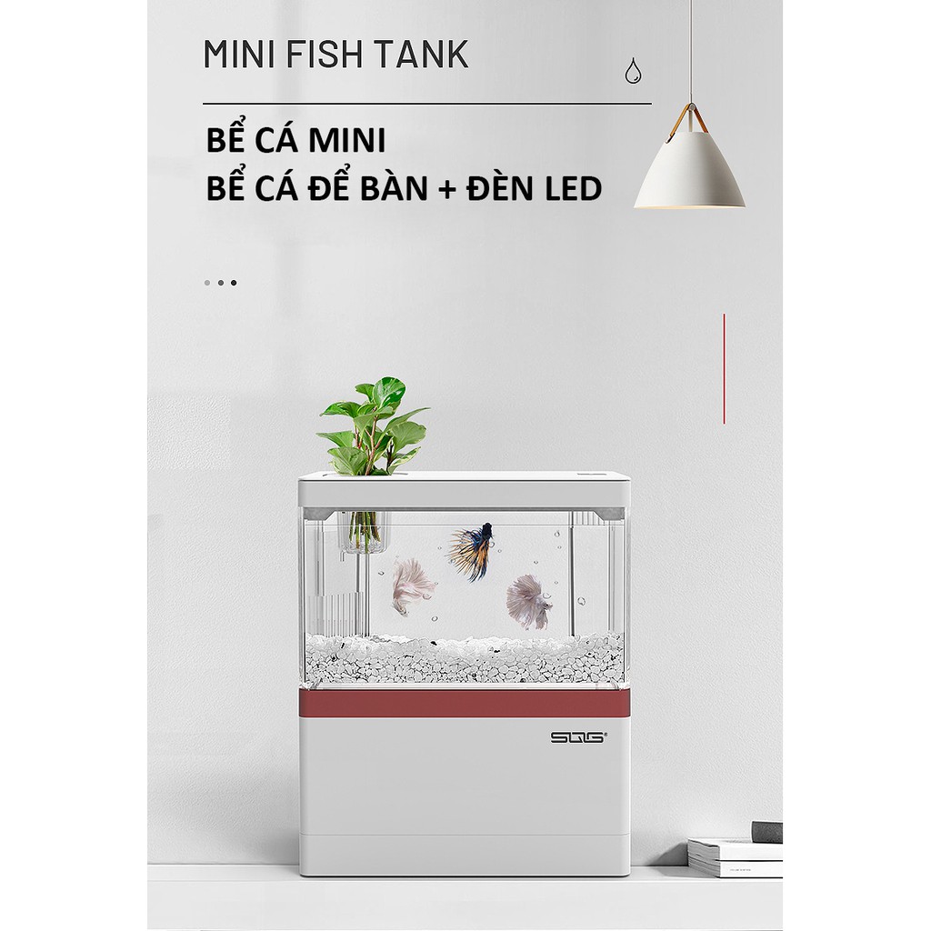 Bể cá mini để bàn Bể cá thủy sinh mini 05