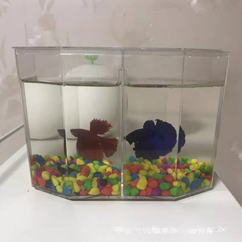 Bể Cá Hai Ngăn Hình Kim Cương Có Lỗ Bắt Sáng Cao Cấp