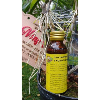 Dung dịch Kích rễ Thái Lan Exotic nhập khẩu-  chuyên dụng.