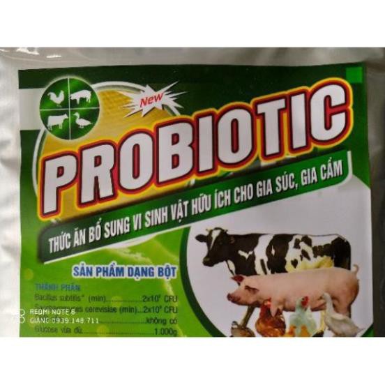 MEN VI SINH SỐNG PROBIOTIC GÓI 100G