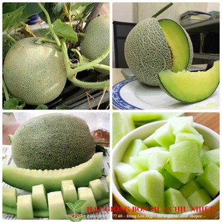 Hạt giống dưa lưới xanh - 10 hạt