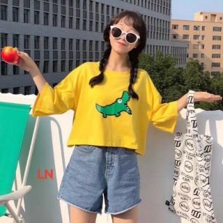 Áo crt khủng Long xanh