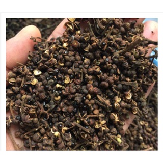 HẠT MẮC KHÉN RỪNG TÂY BẮC
