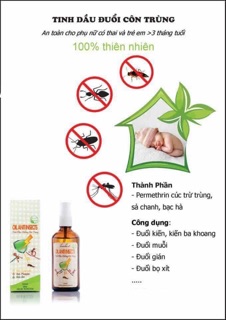 Tinh dầu xịt chống côn trùng