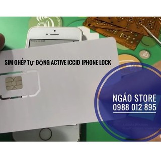 Sim ghép phôi trắng hỗ trợ 5S - 12 Promax