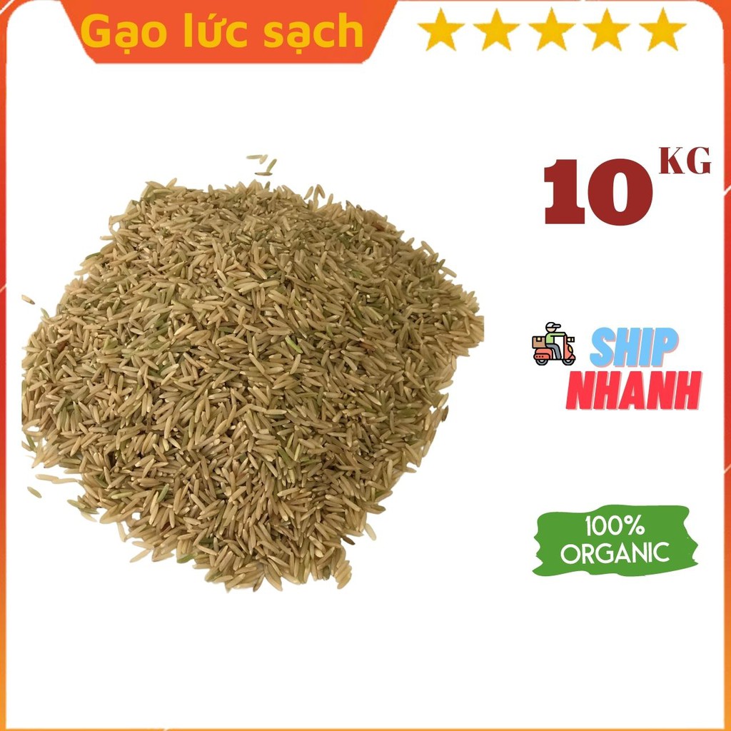 GẠO LỨC SẠCH NAM ĐỊNH 888 Giống ST24 (Túi 10KG)  (Cơm Ngon - Dẻo - Thơm)