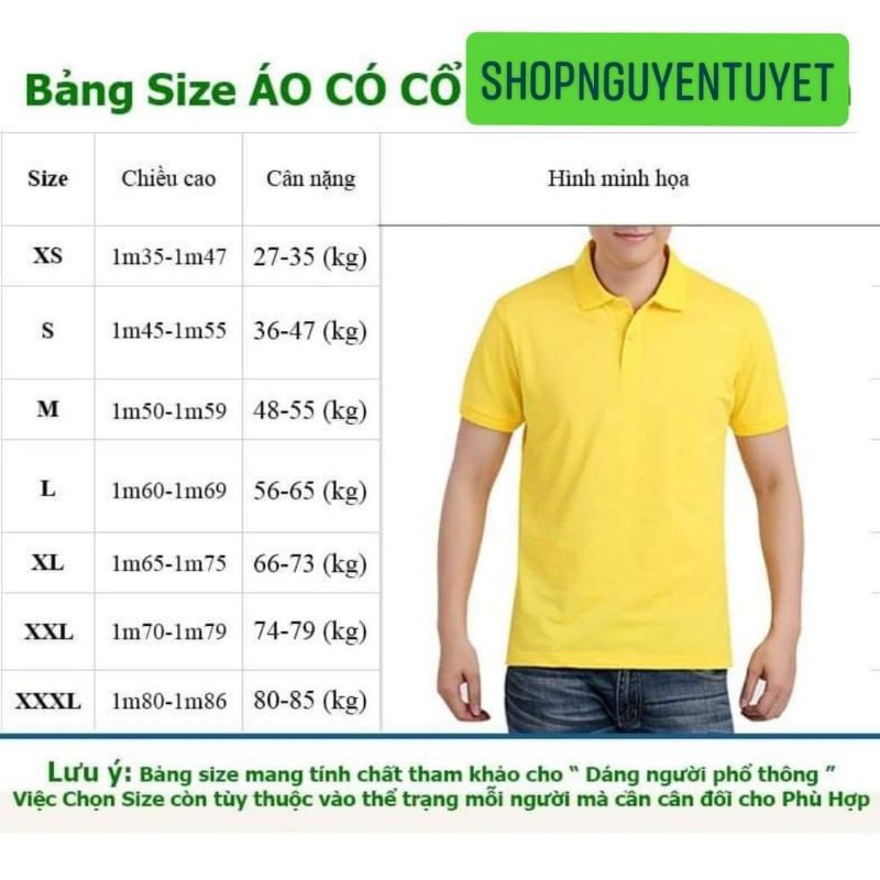 ÁO THUN CÁ SẤU 4 CHIỀU MÀU XANH KÉT_ XANH LÁ ĐẬM | BigBuy360 - bigbuy360.vn