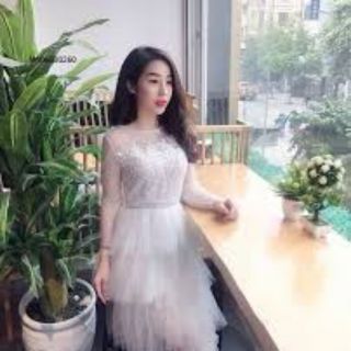 Đầm ren lưới 4 tầng tay dài