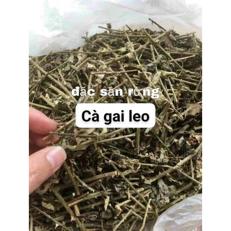 Cà Gai Leo Khô ( 1kg ) - Thải Độc Gan