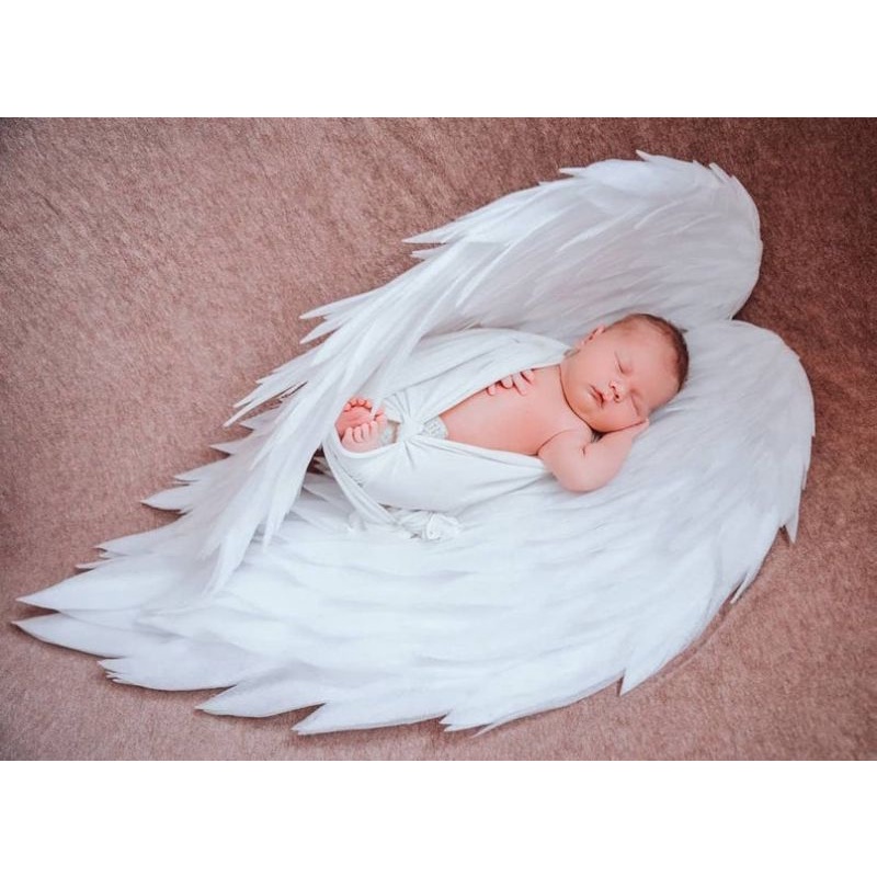 cánh thiên thần baby
