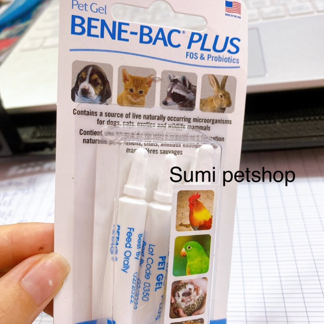 1 tuyp gel bene bac plus men tiêu hoá cho chó mèo , chim thỏ