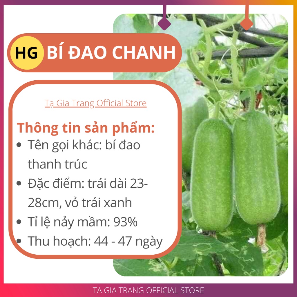 Hạt giống bí đao chanh (bí đao thanh trúc) - Gói 10h