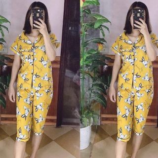 Bộ pizama áo cộc quần lửng LỌAI 1