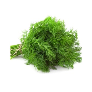 Lá Thì Là Ông Chà Và 500g (Dill Leaves)