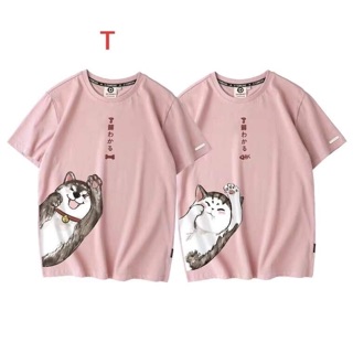 Áo thun mèo lấp ló - TR