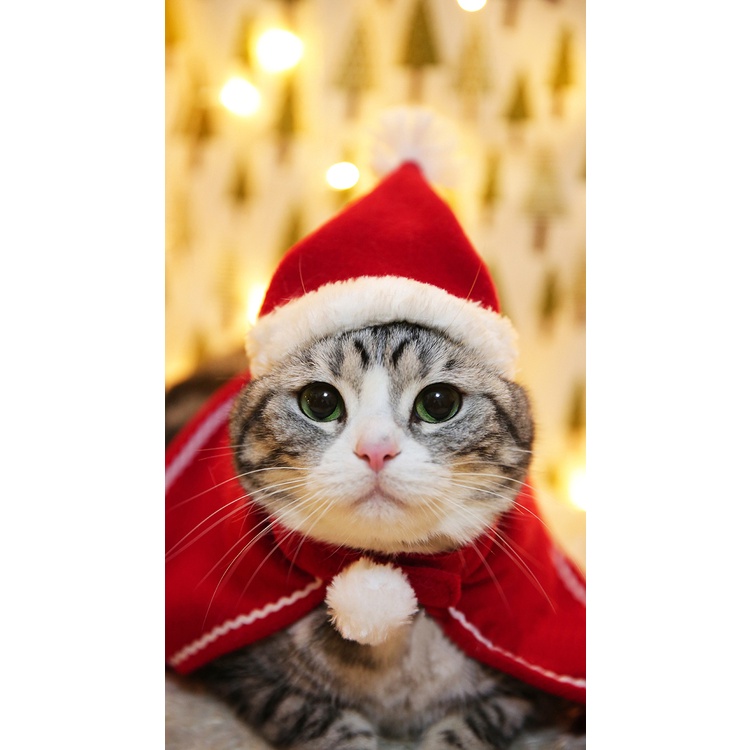 Trang Phục / Phụ Kiện Phong Cách Giáng Sinh Cho Thú Cưng