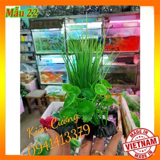 Cây nhựa dành cho bể cá cảnh, bế cá cảnh cao cấp - mẫu 22