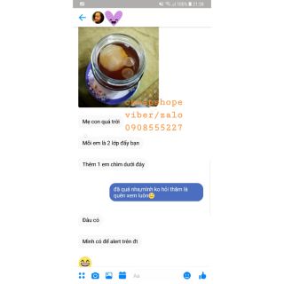 COMBO SCOBY KOMBUCHA+10 BAO LÌ XÌ 2025