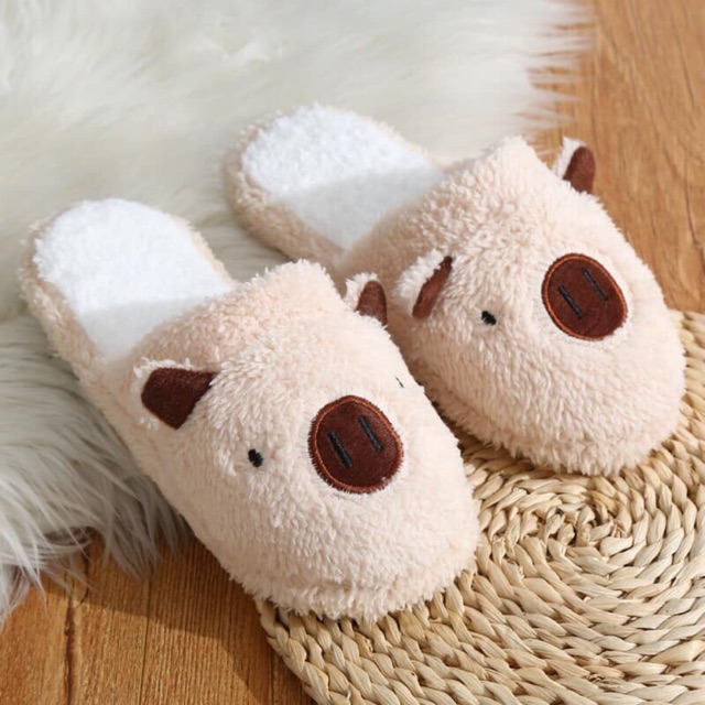 DÉP LÔNG ĐI TRONG NHÀ