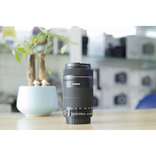 Lens Canon 55-250 is STM