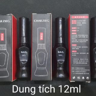 Keo gắn đá Charzieg 2 đầu