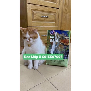 Taste Of The Wild Rocky Mountain thịt nai và cá hồi cho mèo