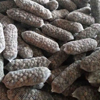 Phân dê bón Lan dạng túi đã xử lí nấm, bổ sung acid Humic  (loại 10- 15cm)