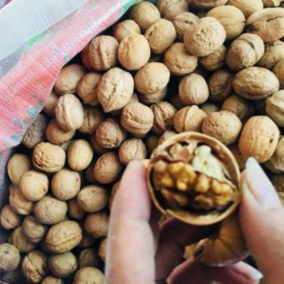Combo 500gr hạnh nhân rang bơ+ 500gr óc chó