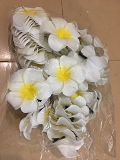 Ảnh thật hoa sứ cái tóc