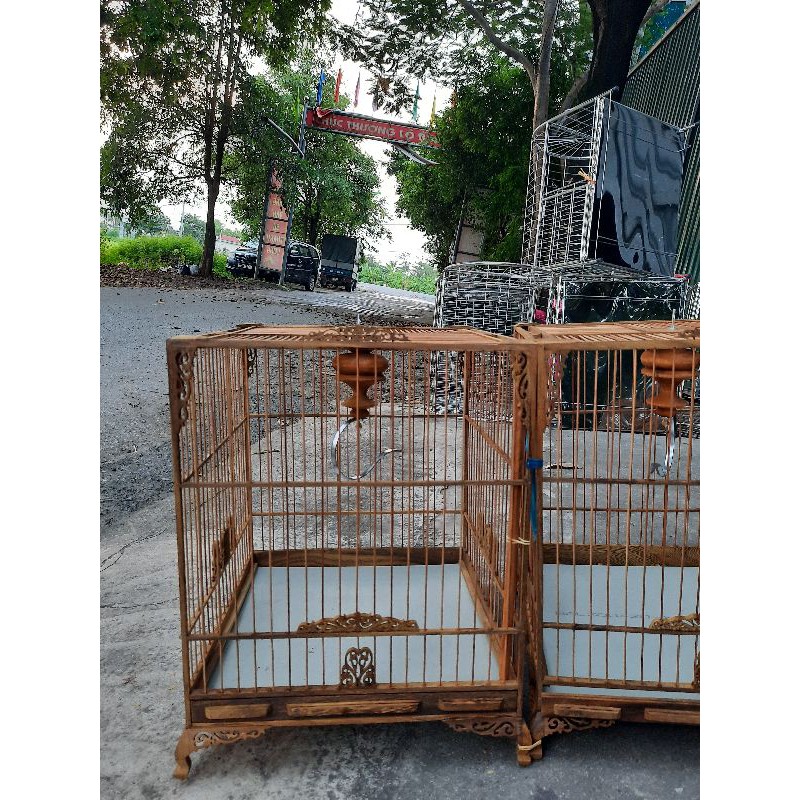 LỒNG THÁI ,VUÔNG ĐẤU ,CẢ VUÔNG CAO GỖ MUỒNG.