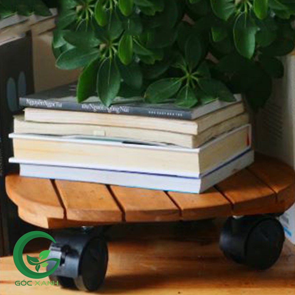4 Đế Lót Nâu Đậm Gỗ Tràm Có Bánh Xe Khóa An Toàn Chịu Lực Đến 80kg Nâng Chậu Cây Chậu Hoa Hình Tròn R30cm