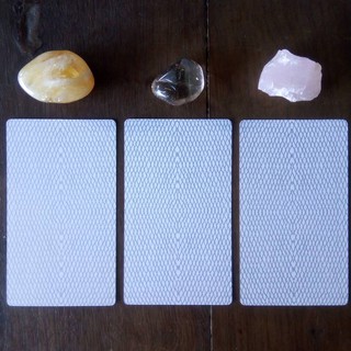 Bài Animal Spirit Deck and Guidebook