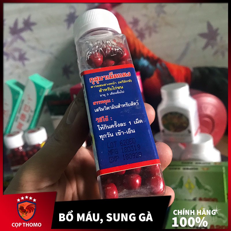 Thuốc bổ máu cho gà đá Thái Lan giúp da gà đỏ đẹp , dai sức , tải cựa tốt