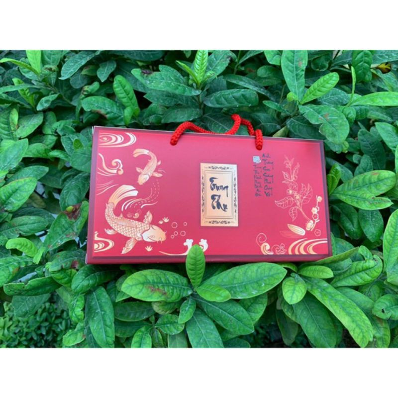 Hôp trung thu 2 bánh 125g-200g( mẫu ngư)