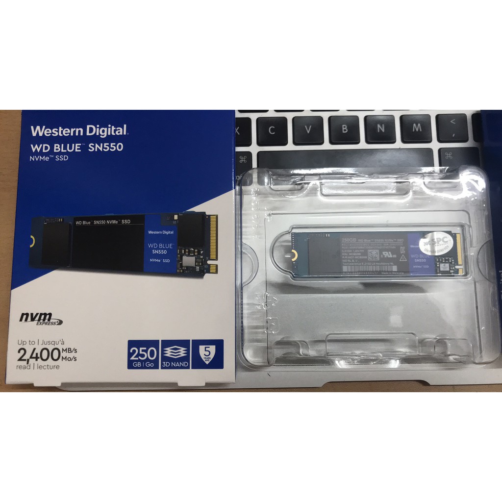 Ổ cứng thẻ rắn SSD M.2 SN550 Western Digital Blue PCIe Gen3 x4 NVMe | BigBuy360 - bigbuy360.vn