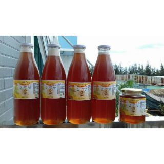 Mật Ong Nguyên Chất Hoa Cà Phê 0.5L - Đổi Trả Nếu Không Hài Lòng (Giá Gốc Từ Trang Trại)
